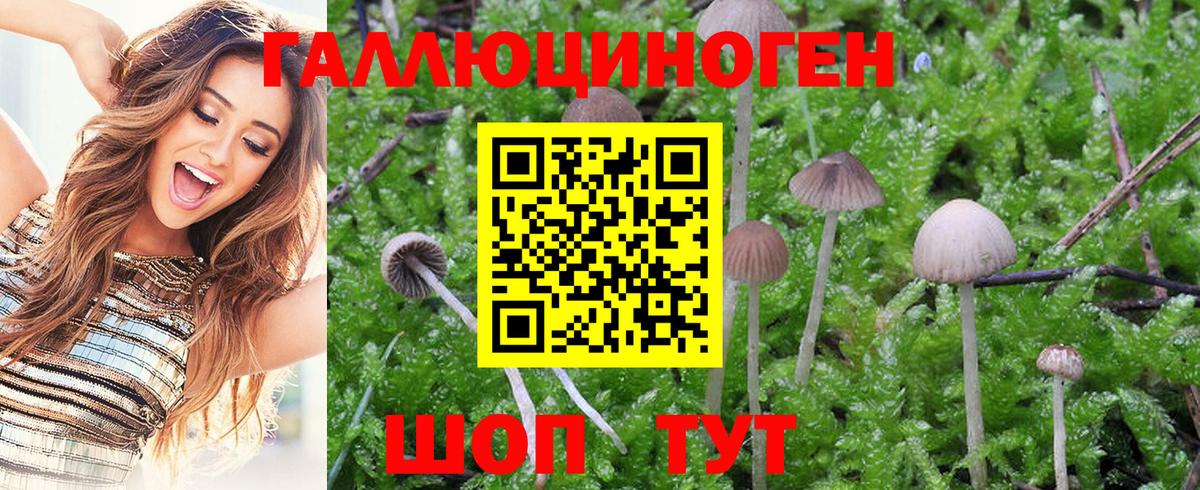 Галлюциногенные грибы GOLDEN TEACHER Изобильный