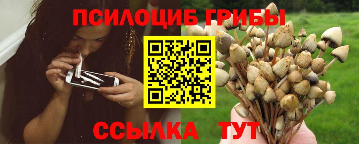 Псилоцибиновые грибы прущие грибы  Вход с VPN  Изобильный  Галлюциногенные грибы MAGIC MUSHROOMS 